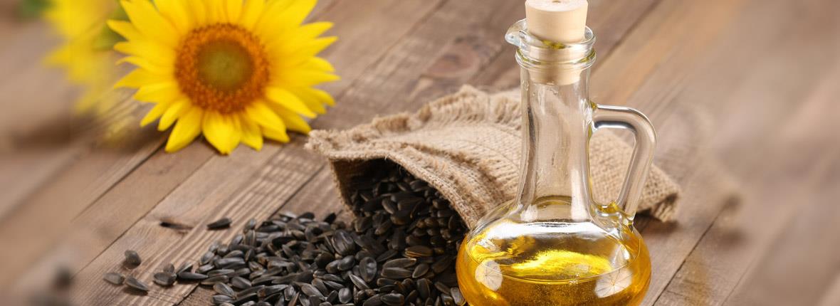 Sunflower Oil
