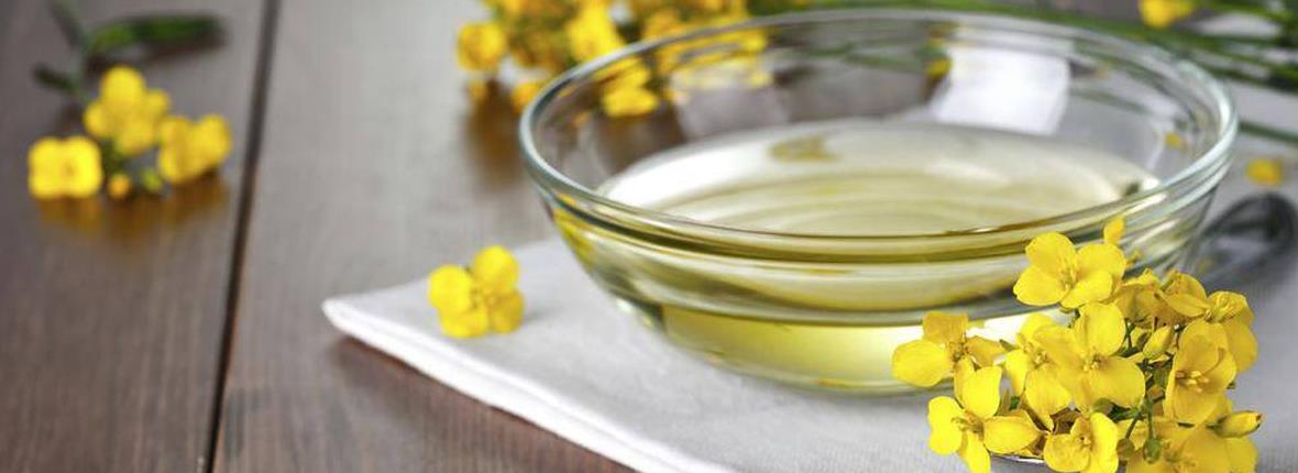 Canola Oil