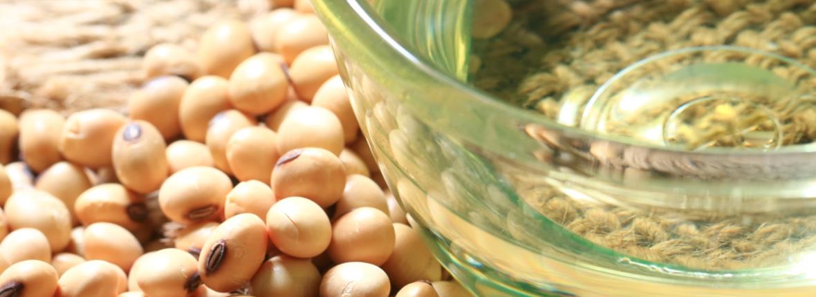Degumming Soybean Oil