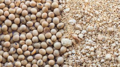 Livestock inputs