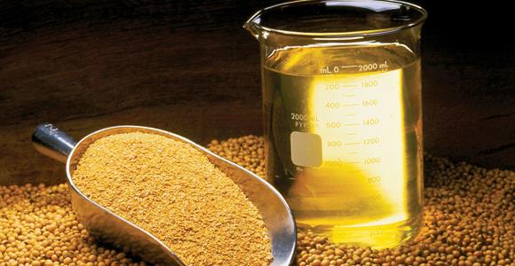 Oilseed Processing